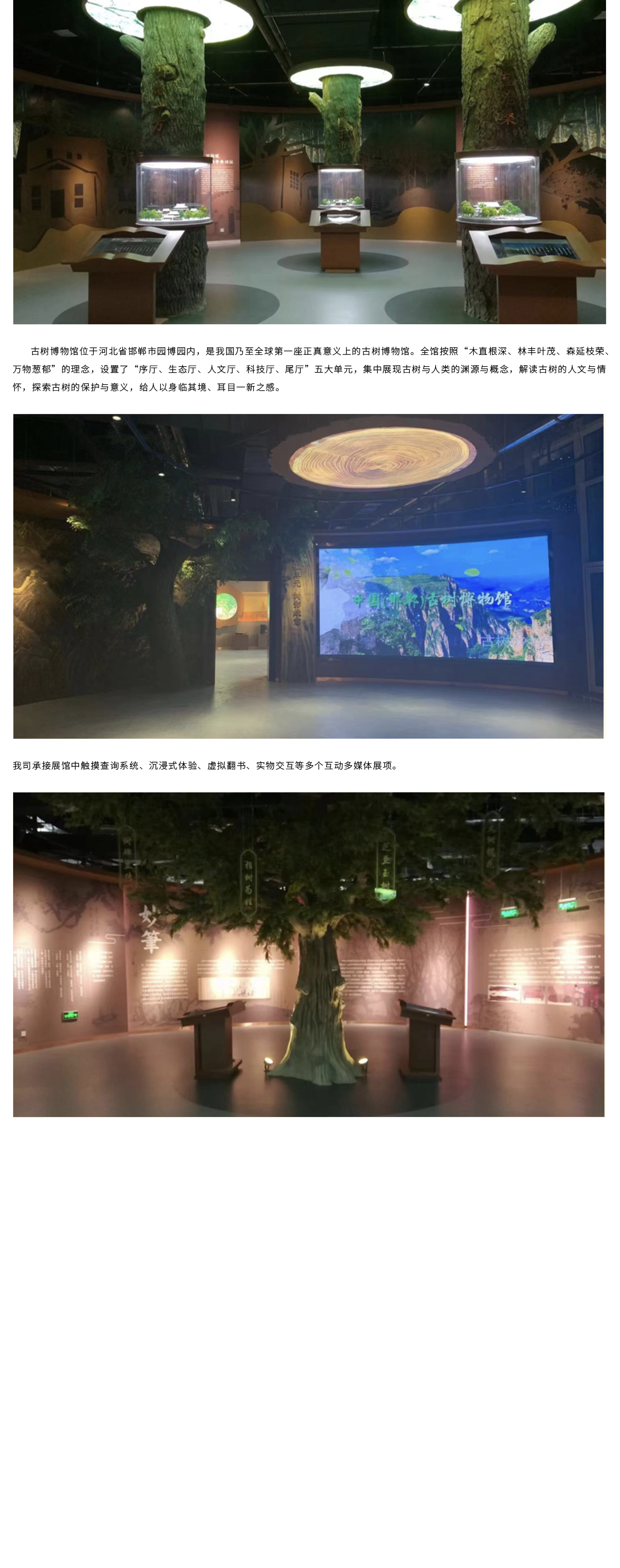 古树.png